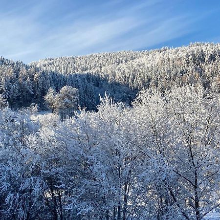 Ferienwohnung Stremme Віллінген Екстер'єр фото